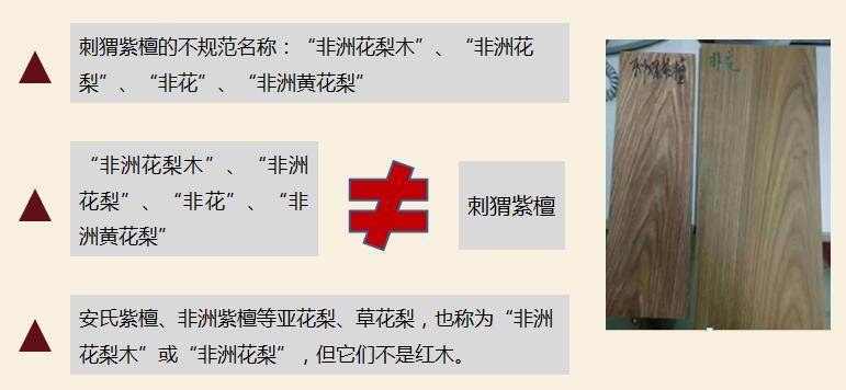 刺猬紫檀、非洲黄花梨与非洲花梨的区别?刺猬紫檀基本信息